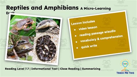 Reptiles And Amphibians Interactive Science Lesson Micro Learning