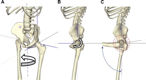 Range Of Motion Simulation Of Hip Joint Movement During Salat Activity