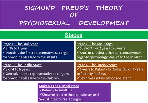 💄 Sigmund Freud Genital Stage Psychologist Sigmund Freuds Stages Of