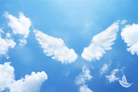 How Angels Can Help You Find Peace And Clarity In Difficult Times
