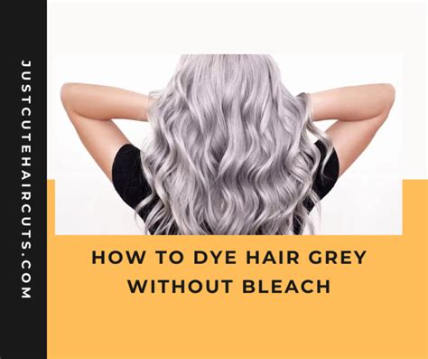 How To Dye Hair Grey Without Bleach Justcutehaircuts