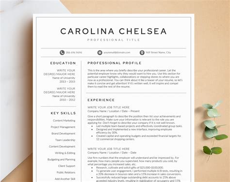 Resume Template Cv Template Professional Resume Template For Word Pages Google Docs