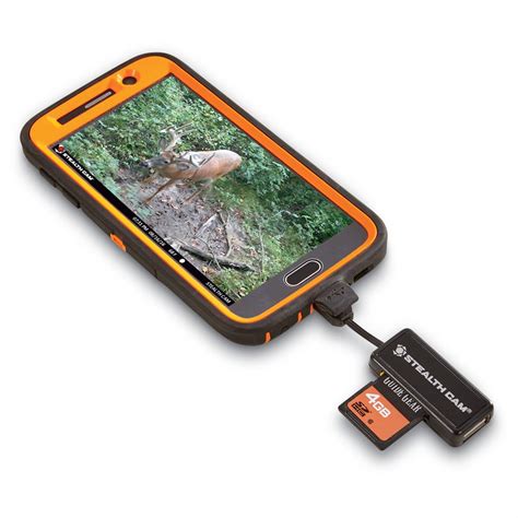 Stealth Cam Sd Card Reader And Viewer With 43 Lcd Screen 642519