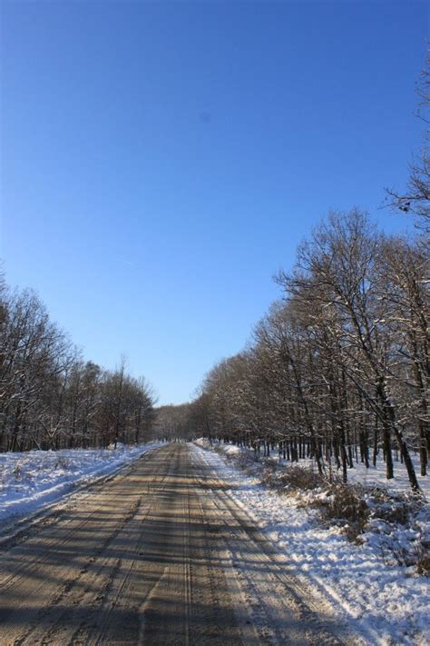 Winter Forest Road Public Domain Photos Free Images For Commercial