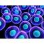 HD Wallpaper Biology Cells Science  Flare