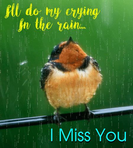 Ill Do My Crying In The Rain Free Miss You Ecards 123 Greetings