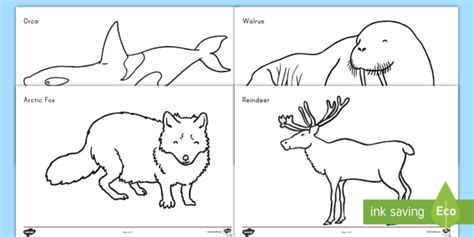 41 Arctic Animals Coloring Pages For Toddlers  Coloring Pages