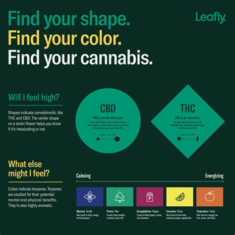 Client Leafly — Axis Display Group