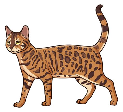 Walking Bengal Cat Cartoon Clipart Vector Friendlystock