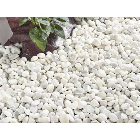 Stylish Stone Premium Arctic White Pebbles Bulk Bag White Pebbles