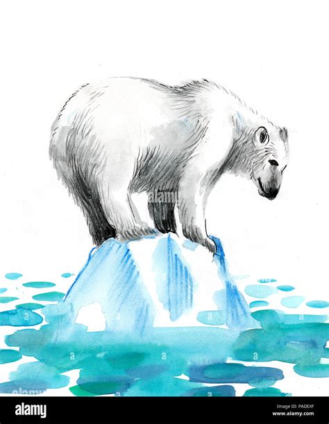 White Polar Bear On The Ice Watercolor Illustration Stock Photo Alamy