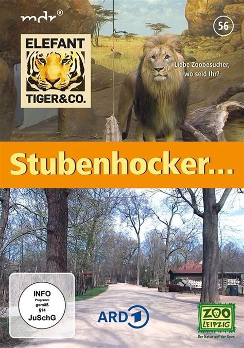 Elefant Tiger And Co Stubenhocker 1 Dvd Dvd Weltbildde