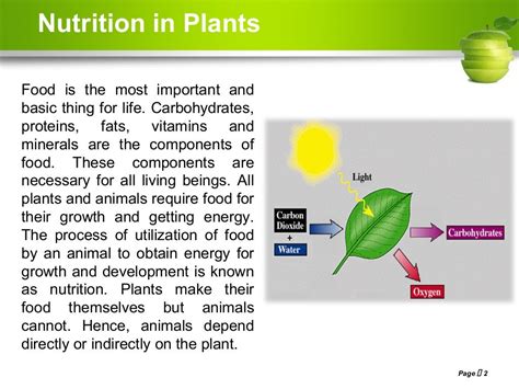 Nutrition In Plants Class Vii Ncert Based