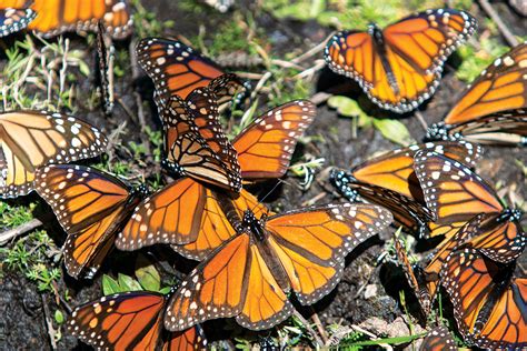 Los 21 Escenarios Naturales Más Espectaculares De México México