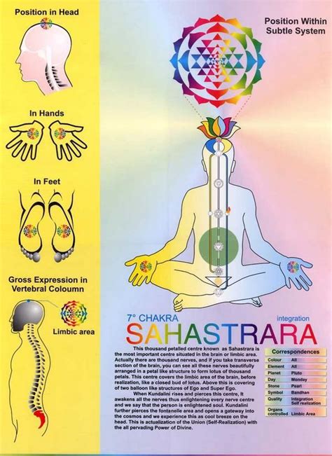 Untitled Document Chakra Sahaja Yoga Meditation Chakra Meditation