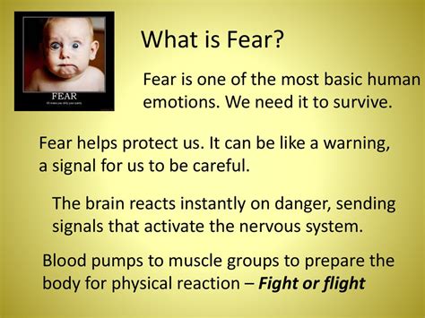 Fears And Phobias презентация онлайн