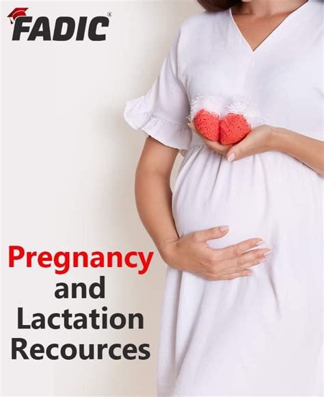 pregnancy and lactation resources handbook download now