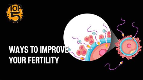 5 Ways To Improve Your Fertility Youtube