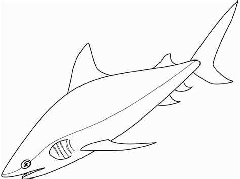 We found for you 15 pictures from the collection of mako shark coloring pdf! Mako Shark coloring, Download Mako Shark coloring for free ...