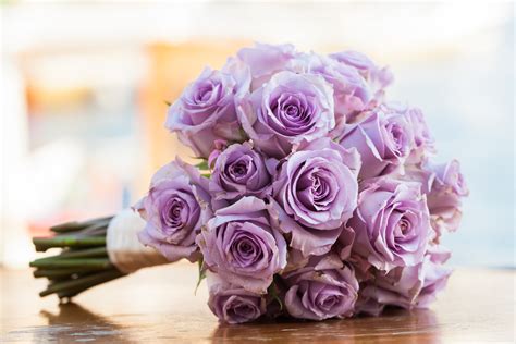 Get To Know The Lavender Rose Meaning Floraqueen
