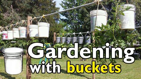 Gardening With 5 Gallon Buckets Youtube
