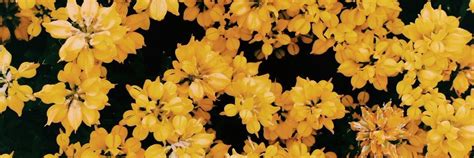 Twitter header aesthetic header twitter twitter banner sketchbook ideas you are my sunshine pretty pictures ulzzang layouts aurora sleeping beauty. Pin by RightouesGG on Background Ideas | Twitter header ...