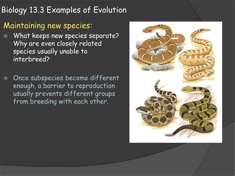 Evolucion Biologica