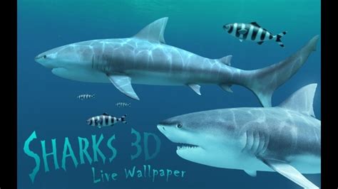 Macos 3d Screensavers Sharks Animated Wallpaper Deep Sea Lives Of