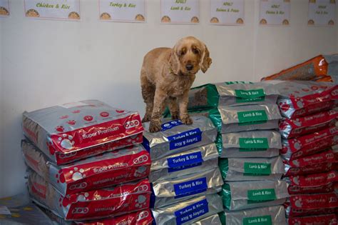 Gallery - The Pet Barn