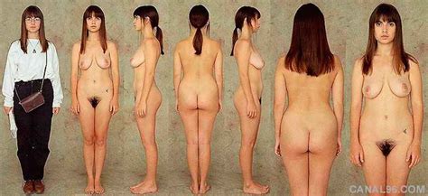 Realistic Nude Women Ideal Proportion Joshua Nava Arts