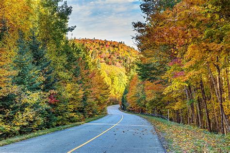 Hd Wallpaper Road Autumn Forest Trees Canada Quebec Qc La
