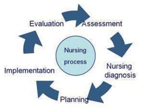 Orlandos Nursing Process Theory