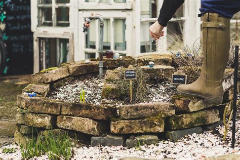 Wann du deinen garten und die verschiedenen pflanzen mulchen solltest erfährst du hier! Richtig mulchen im Garten | Garten, Mulchen ...
