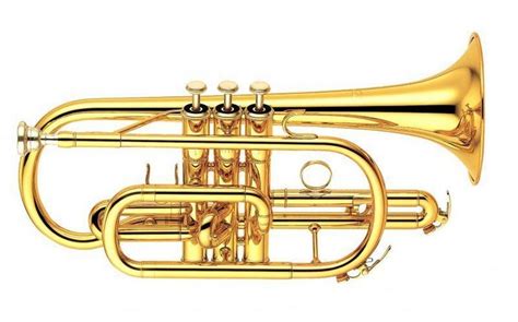 Pada umumnya alat musik saxophone ini dimainkan oleh banyak band music seperti big band music, dan juga para legenda jazz. Pengertian Aerophone Adalah : Prinsip dan Keunikan Alat Musik Aerophone - Saturadar.com - Portal ...