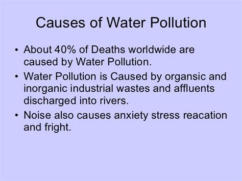 Causes Of Water Pollution Essay Lucas Brown
