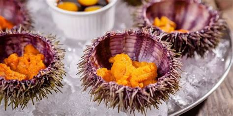 What Sea Urchins Can You Eat Itsfoodtastic
