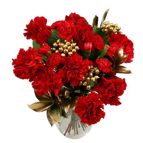 Carnation Sparkle Christmas Bouquet And Free Next Day Delivery