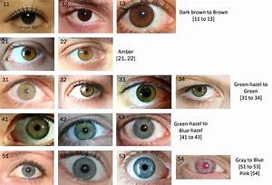 The Eye Color Chart Hubpages