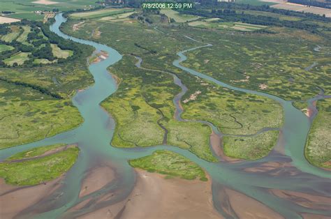 Prismskagit River Delta Restoration Wildlife Recreation And Coalition