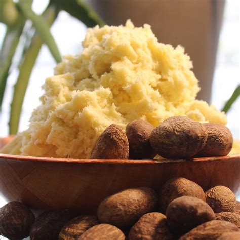Few Ways Shea Butter Can Be Used For Its Health Benefitsguardian Life
