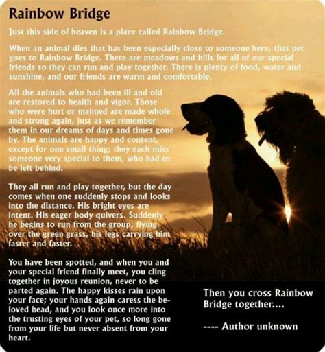 The Rainbow Bridge Poem For Dogs Printable