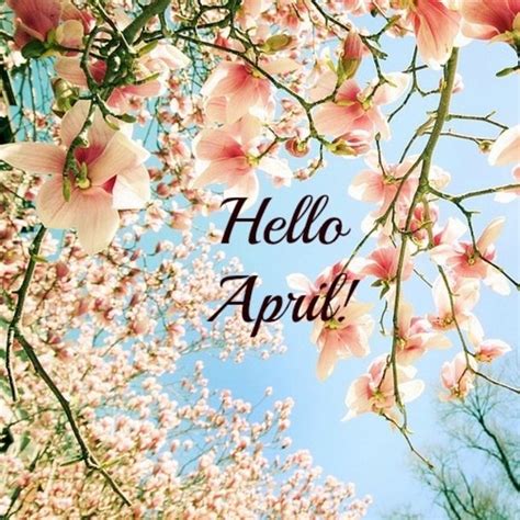 75 Hello April Quotes And Sayings Hello April April Quotes Facebook Cover
