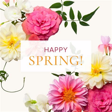 Happy Spring Flower Delivery Spring Flowers Happy Spring