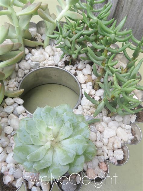 When winter in gone, diy backyard landscaping takes place as one of most popular activities. DIY Succulent Container Garden