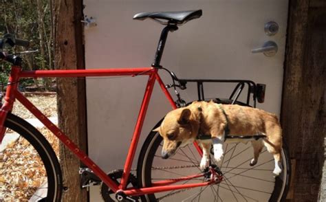 Basket attaches to any bike and can be used with or without the removable sunshade. DIY dog bike basket ideas
