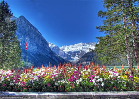 43 Canadian Rockies Wallpaper Wallpapersafari