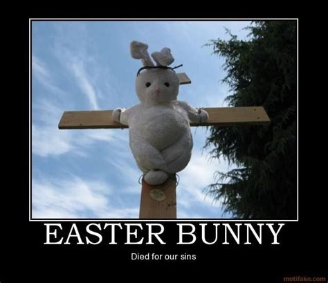 Should Read Dyed Real Easter Bunny Easter Humor Easter Bunny