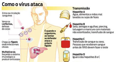 Hepatites Virais No Primeiro Semestre J Foram Registrados Casos Da Hepatite B E Da C