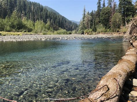 Clear Waters Of The Skok Skokomish River Wa Rhiking