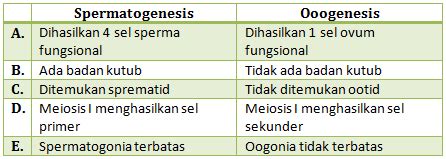 Perbedaan Spermatogenesis Dan Oogenesis Berbagi Informasi